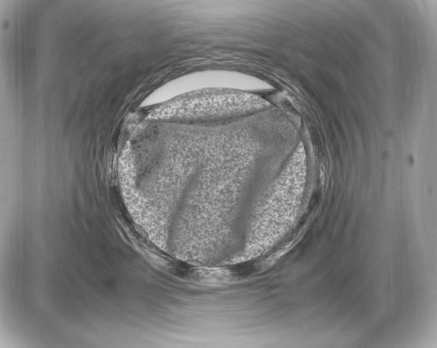 X0000085810429200704091611