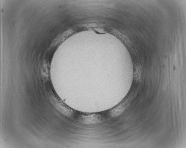 X0000085810430200704091611