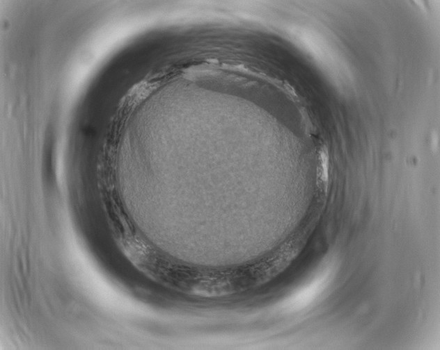 X0000085810431200704091611