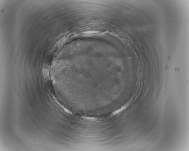 X0000085810432200704091611