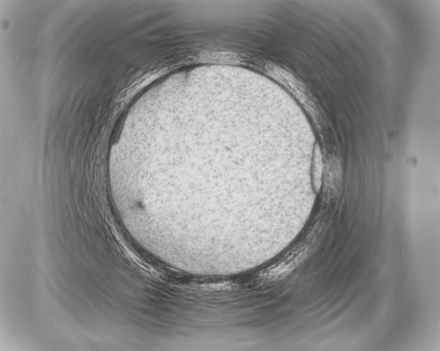 X0000085810433200704091610