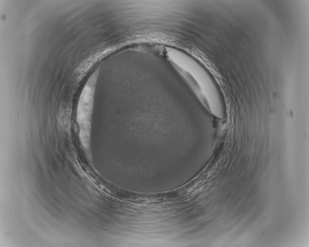 X0000085810434200704091610