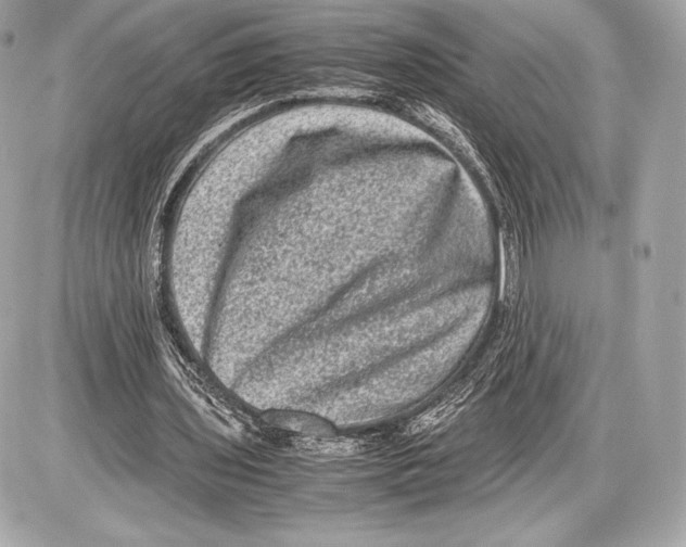 X0000085810435200704091610