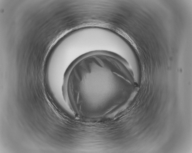 X0000085810436200704091610