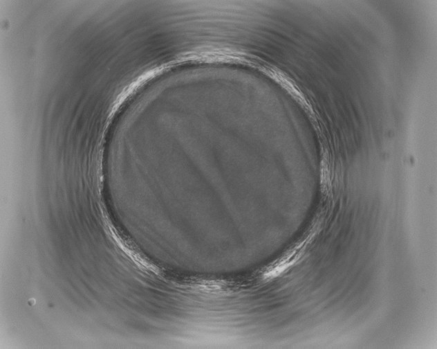 X0000085810438200704091611