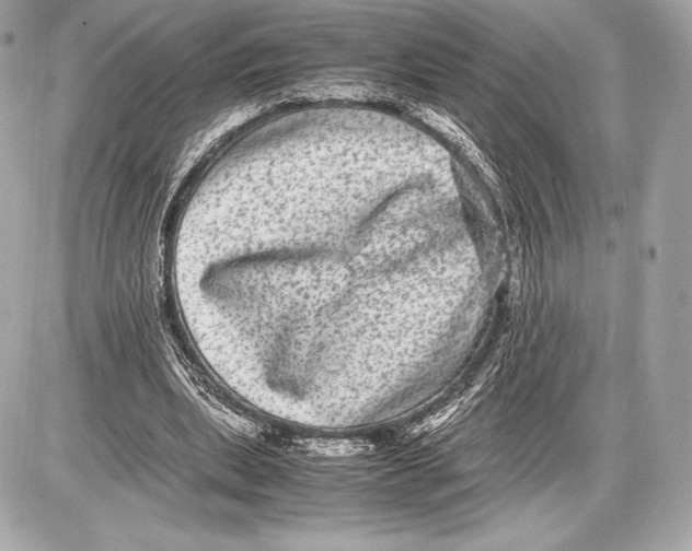 X0000085810439200704091611