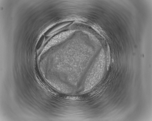 X0000085810440200704091611