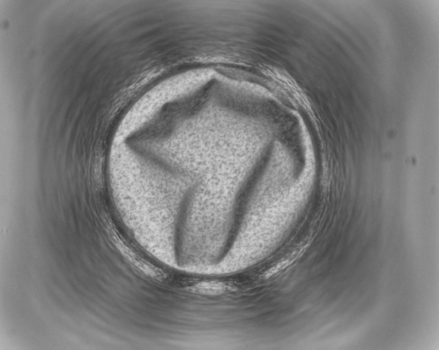 X0000085810441200704091611