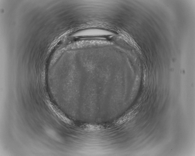 X0000085810442200704091611