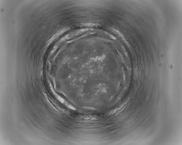 X0000085810443200704091611