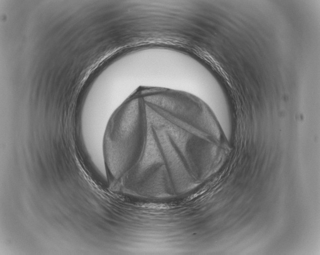 X0000085810444200704091611