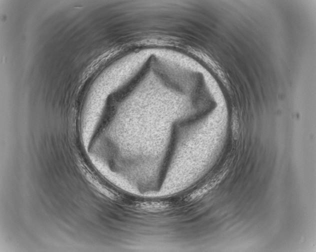 X0000085810445200704091611