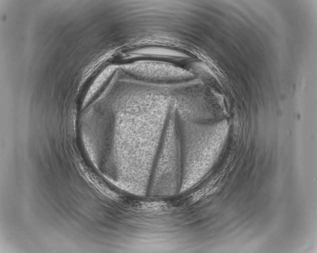 X0000085810446200704091611