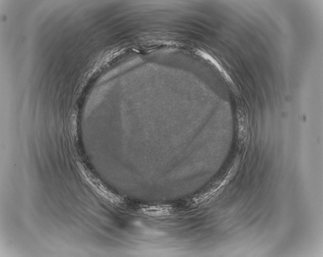 X0000085810447200704091611