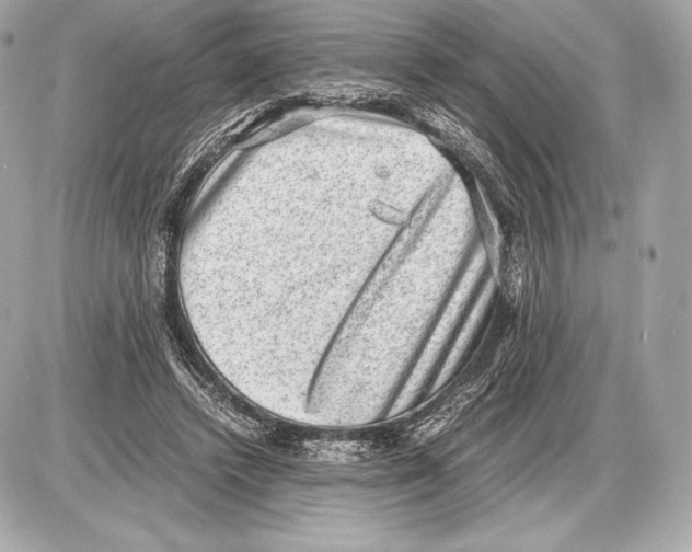 X0000085810448200704091611