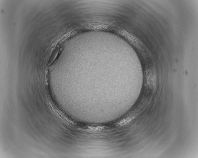 X0000085810450200704091611