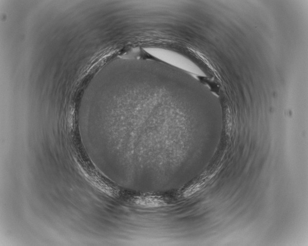 X0000085810451200704091611