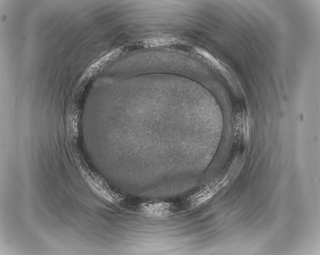 X0000085810452200704091611