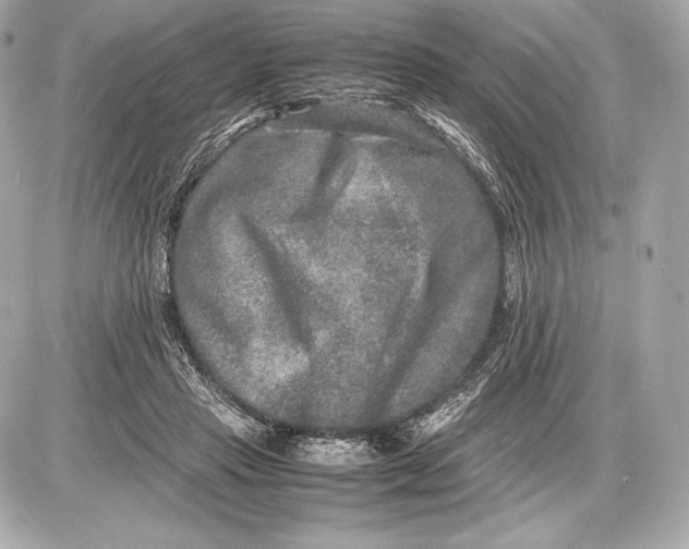 X0000085810453200704091611