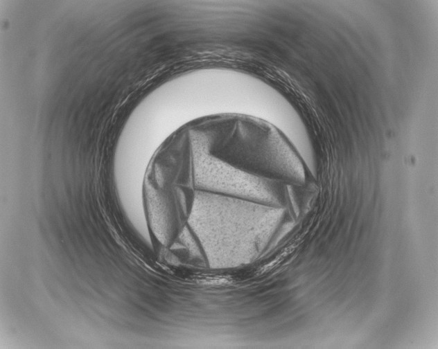 X0000085810456200704091611