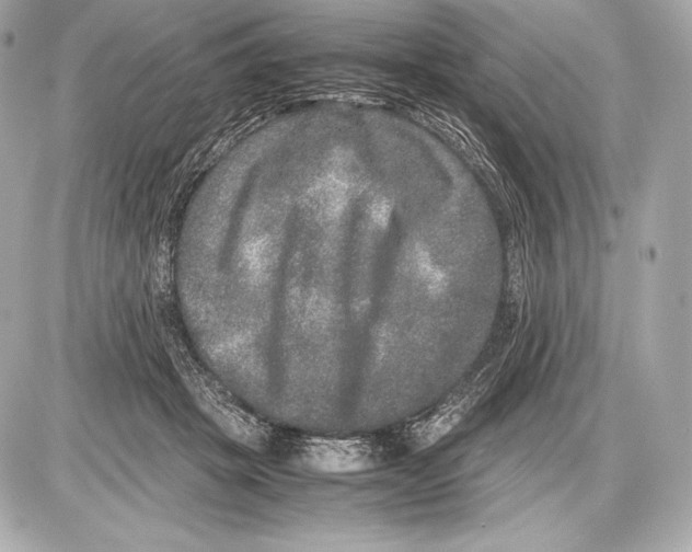 X0000085810457200704091611