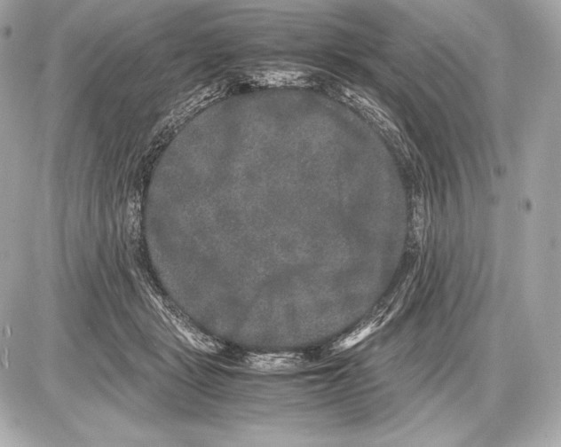 X0000085810461200704091611