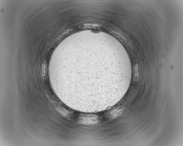 X0000085810463200704091611