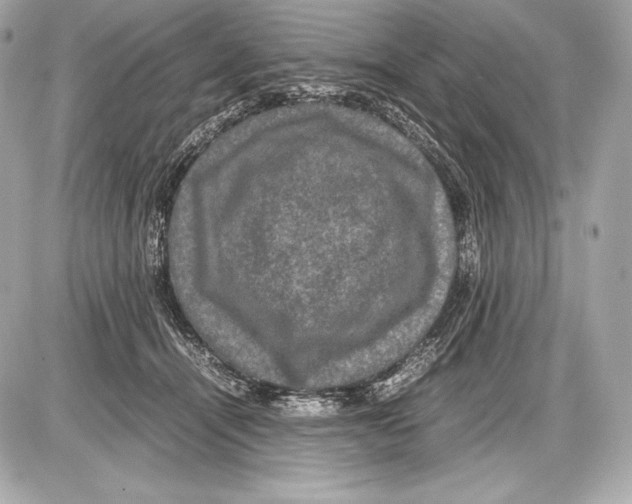 X0000085810464200704091611