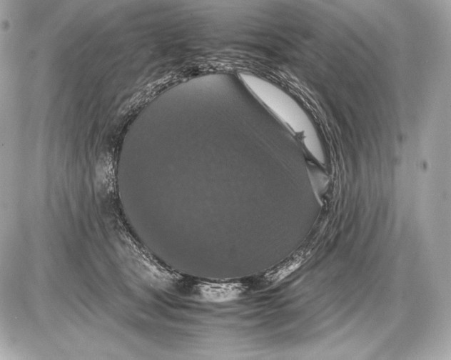 X0000085810465200704091611