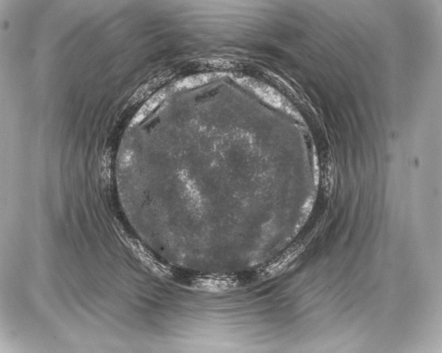 X0000085810466200704091611