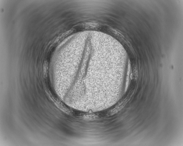 X0000085810468200704091611