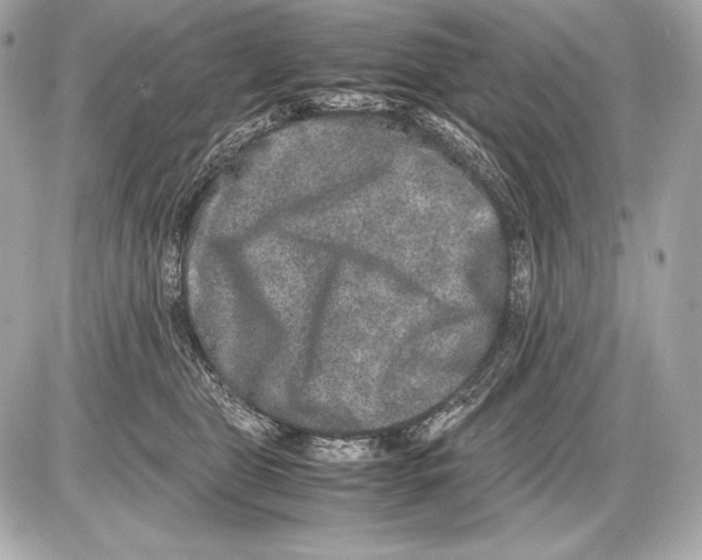 X0000085810469200704091611