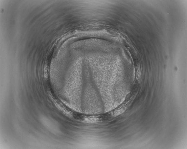 X0000085810470200704091611