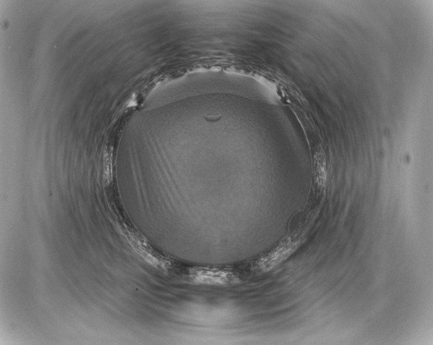 X0000085810471200704091611