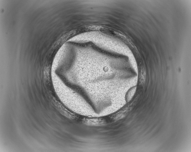 X0000085810473200704091611