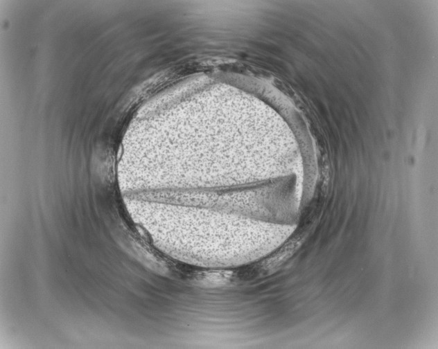 X0000085810474200704091611