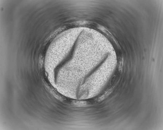 X0000085810476200704091611