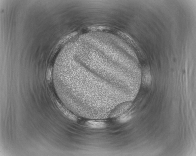 X0000085810477200704091611