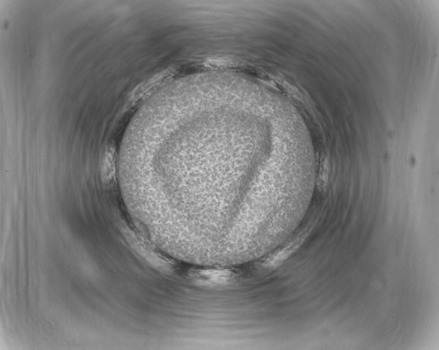 X0000085810478200704091611