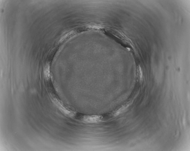 X0000085810479200704091611