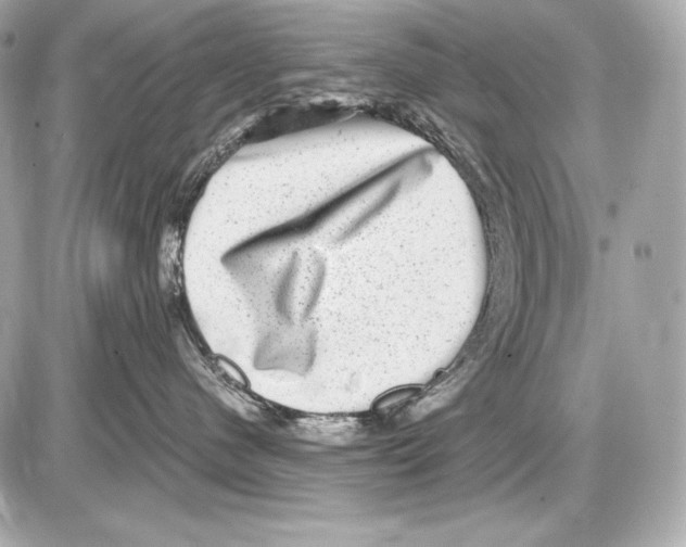 X0000085810480200704091611