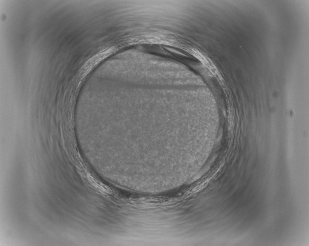 X0000085810481200704091610