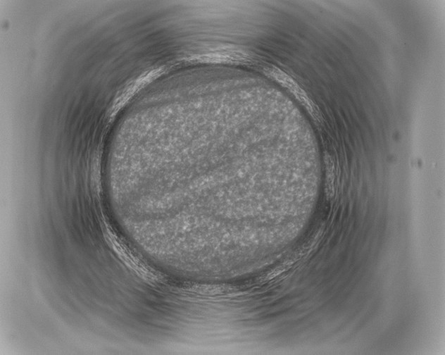 X0000085810482200704091610