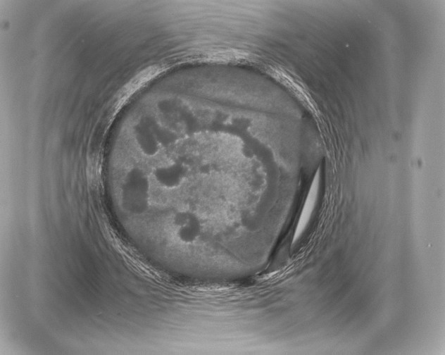 X0000085810483200704091610