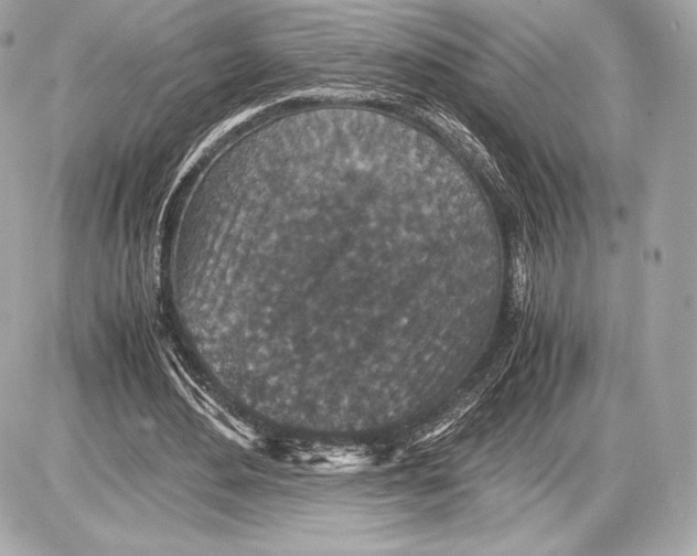 X0000085810484200704091610