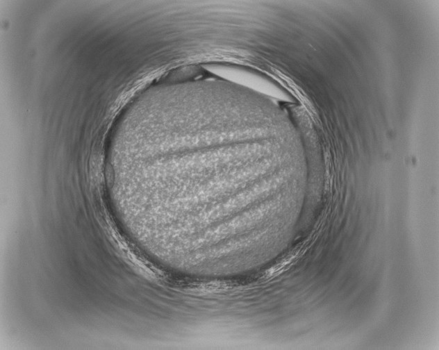 X0000085810485200704091610