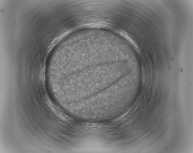 X0000085810486200704091610