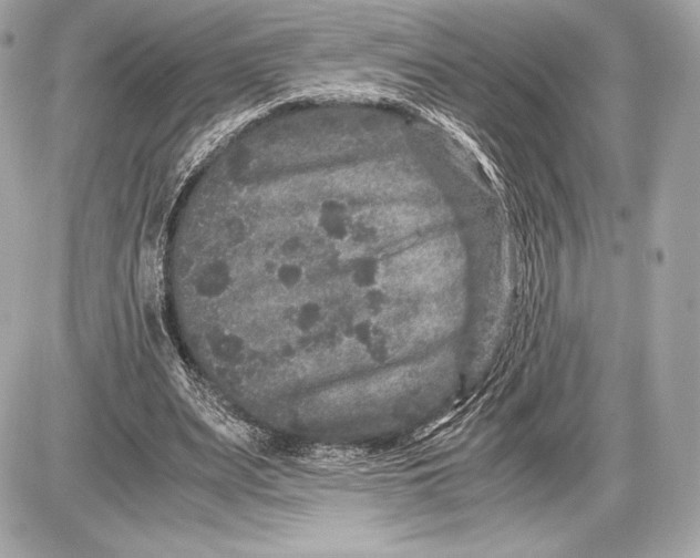 X0000085810487200704091610