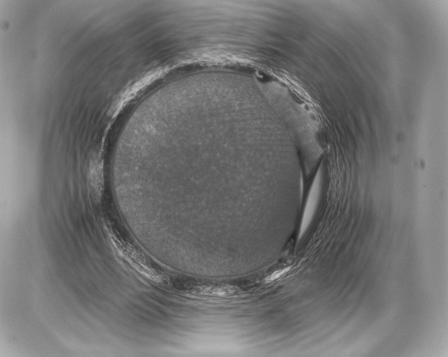 X0000085810488200704091610