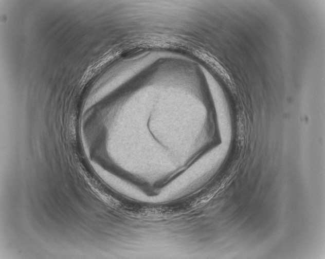 X0000085810489200704091610